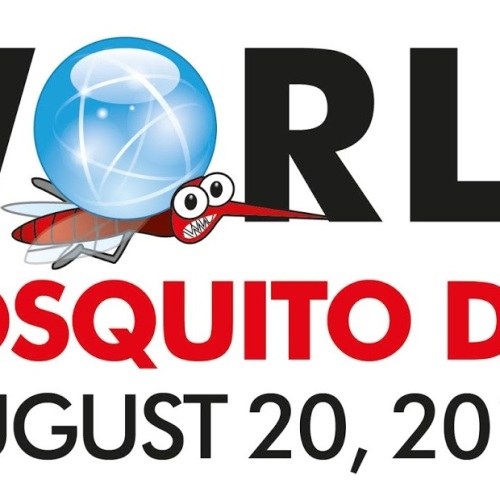 World Mosquito Day, ma non è la festa della zanzara