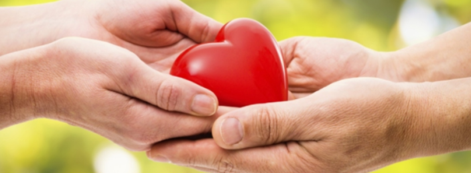 Donazione organi, un gesto di grande generosità