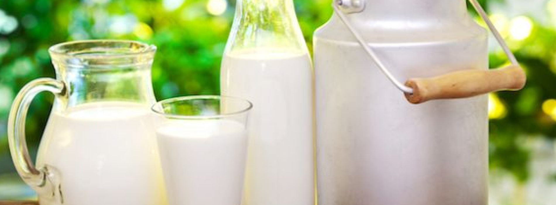 Giornata mondiale del latte, Città della Scienza diventa bianca