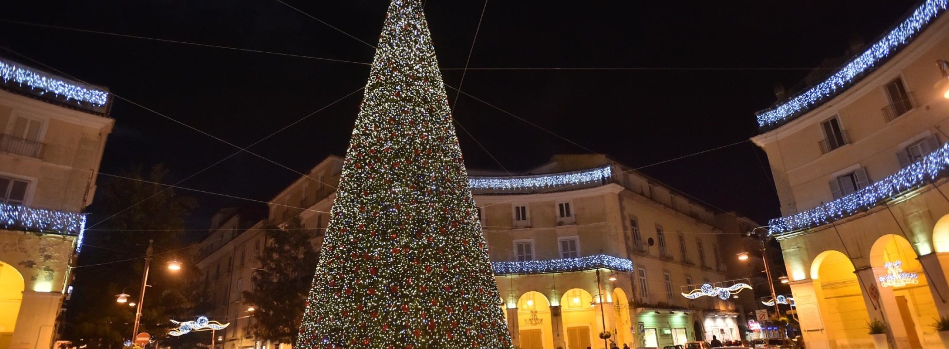 Natale a Caserta, si accendono le mille luci del grande albero