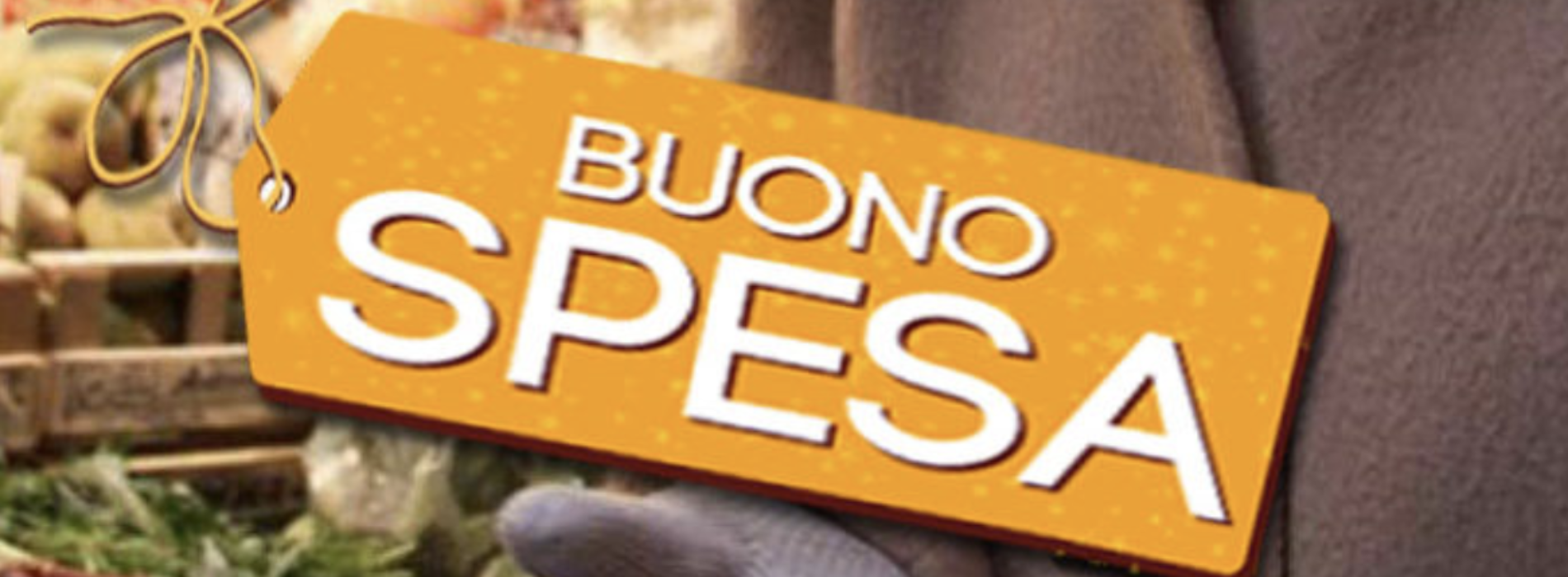 Buoni spesa Caserta, online lista dei 35 punti vendita aderenti