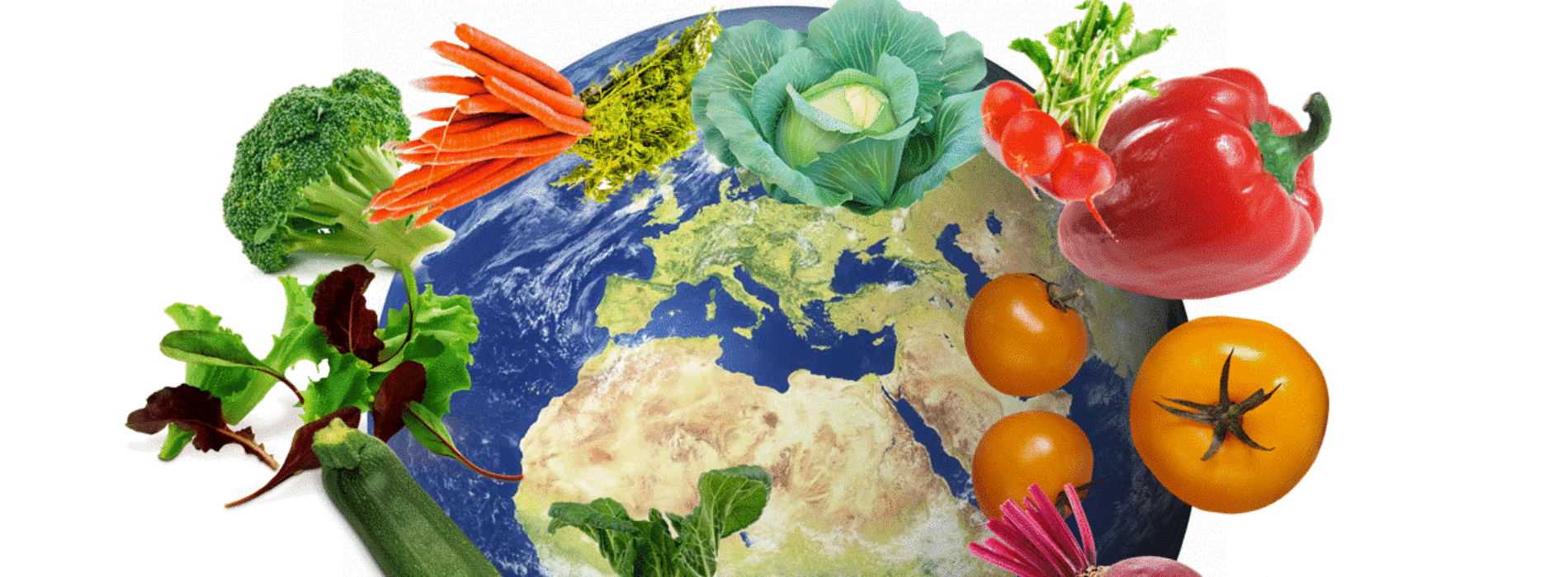 World Vegan Day, la chef Mascia Raponi svela una sua ricetta