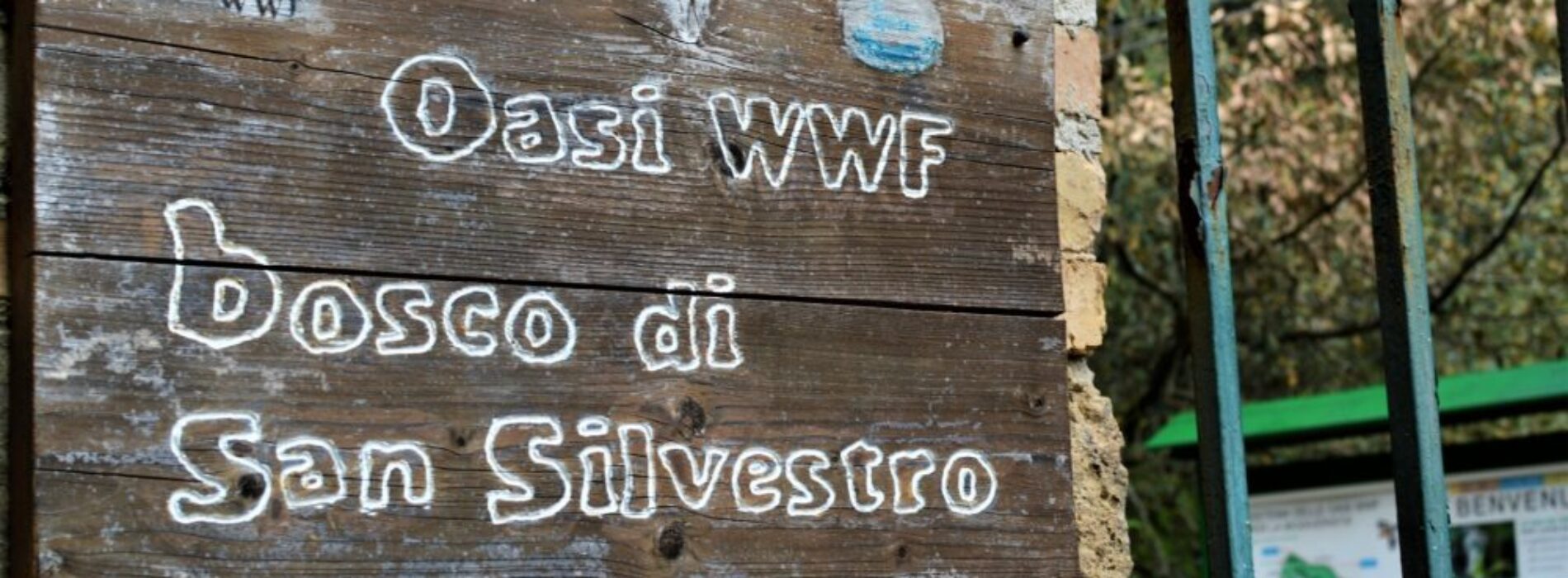 Festa dell’Albero, passeggiata letteraria all’Oasi Wwf Caserta