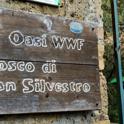 Oasi di San Silvestro, domenica Storytelling in the woods