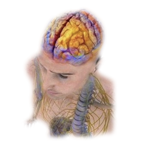 Il linguaggio del corpo, emozioni e sistema nervoso autonomo