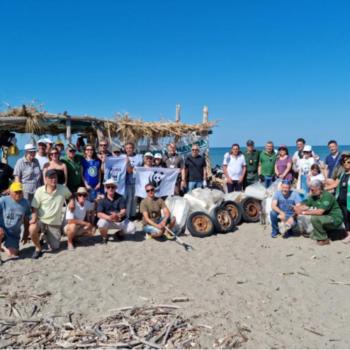 Wwf #GenerAzioneMare, ripulite le spiagge di Castevolturno