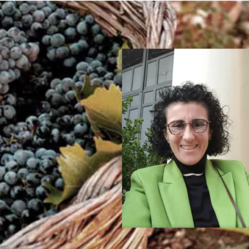 Il vino naturale, uno studio della ricercatrice Nadia Palmieri