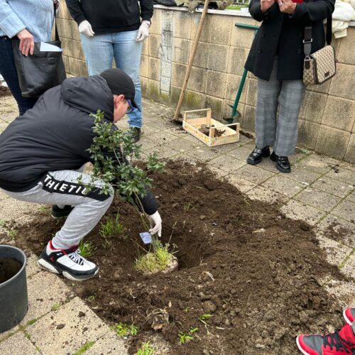 Bambini che piantano alberi, è successo all’istituto Don Milani
