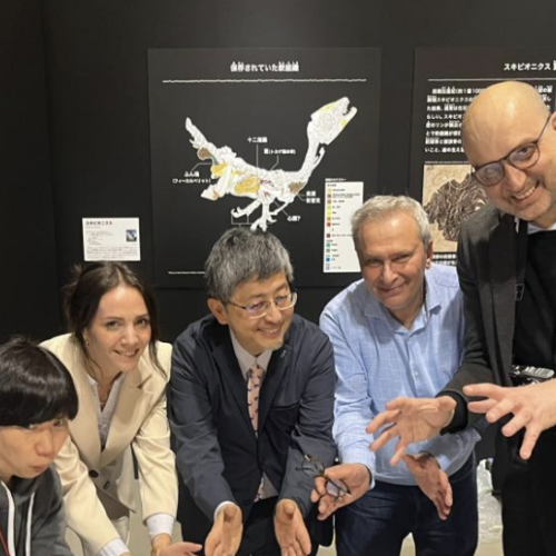 Ciro, il fossile di dinosauro alla Dino Expo 2023 di Tokyo